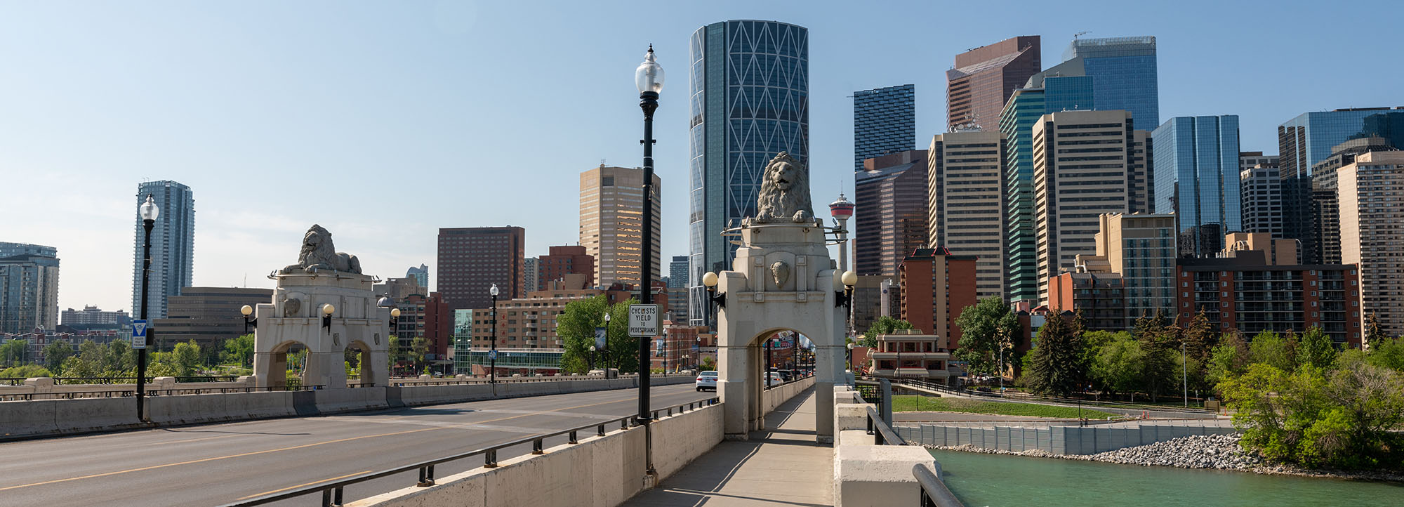 calgary web design company