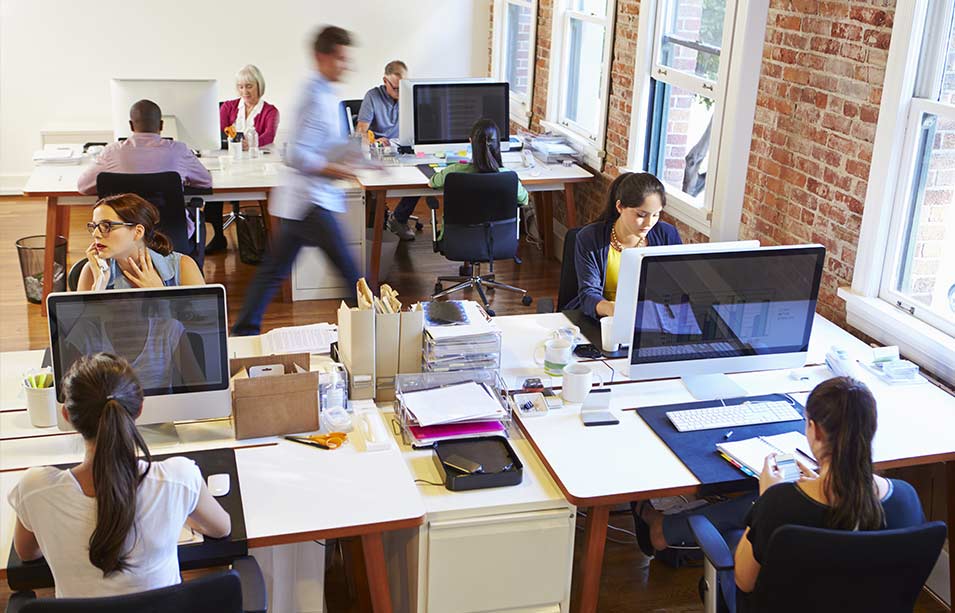 calgary web design agency